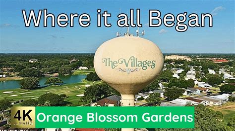 the villages orange blossom windshield